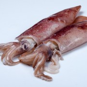 Dos calamares crudos fotografiados sobre blanco
