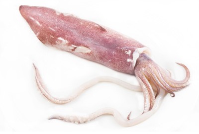 Pieza de calamar fresco